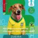 Abrigo de Rondônia entra em trend e faz 'cãovocação' para adoção em RO
