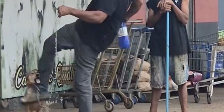 Homem é preso após ser filmado agredindo cachorro 'caramelo' em Porto Velho
