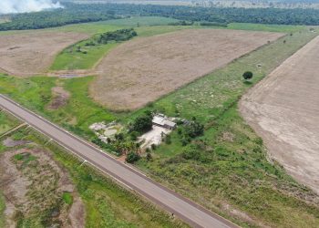 Produtores de soja são acusados de intoxicar indígenas com agrotóxicos