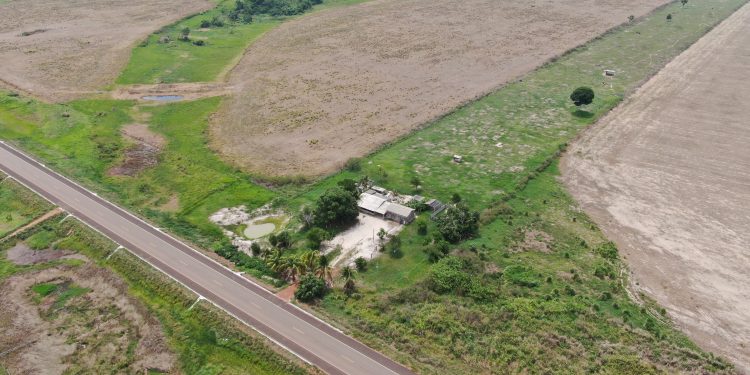 Produtores de soja são acusados de intoxicar indígenas com agrotóxicos